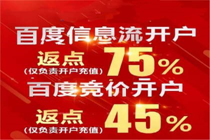 如何在有限预算下最大化百度推广费用的效果——案例解读